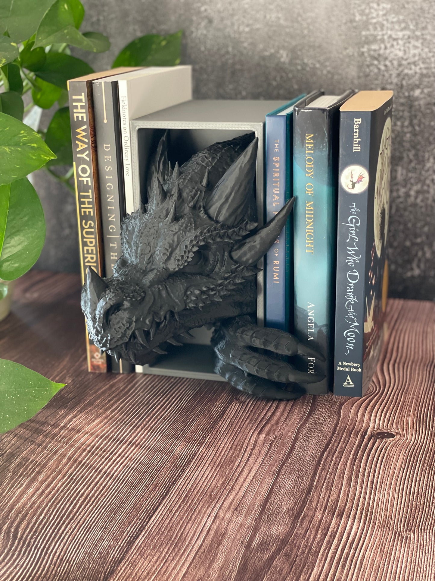 Dragon Book Nook - The Sentinel of Your Storyworld