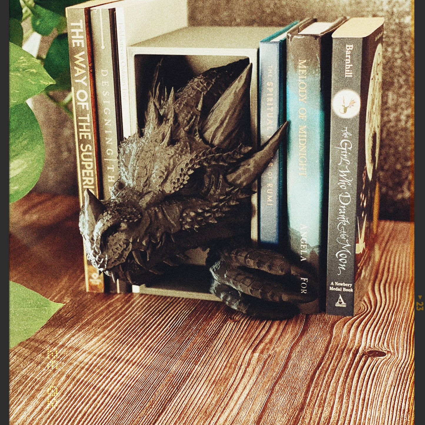 Dragon Book Nook - The Sentinel of Your Storyworld